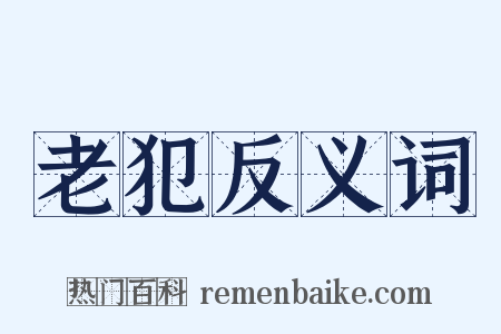 老犯反义词是什么意思的图片